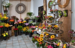 Frische Blumen in der Schnittblumenabteilung