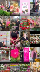 Screenshot des Reel-Feeds von Blumen Bruckmeier auf Instagram
